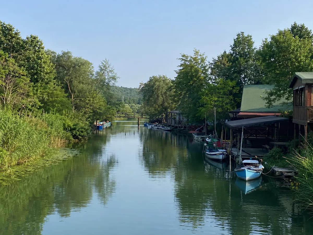 Ağva