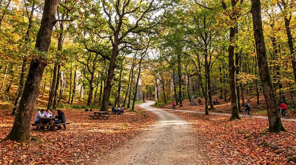 Belgrad Ormanı