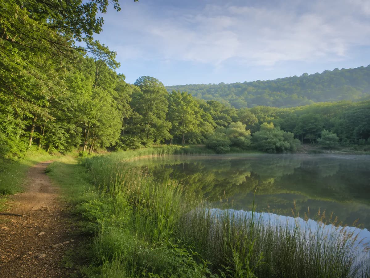 Danamandıra Nature Park