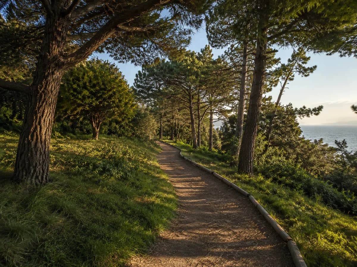 Florya Atatürk Kent Ormanı