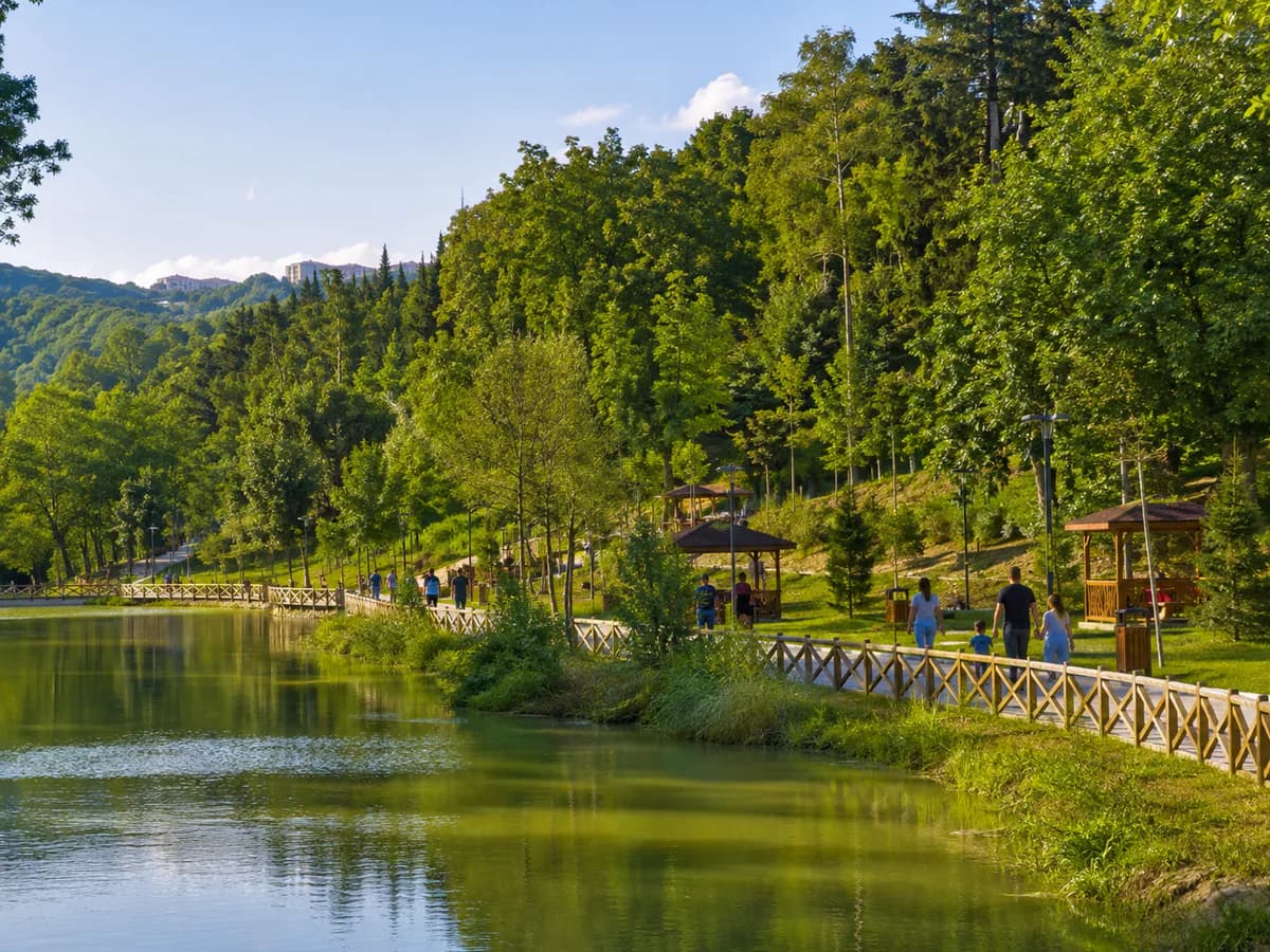 Mimar Sinan Urban Forest