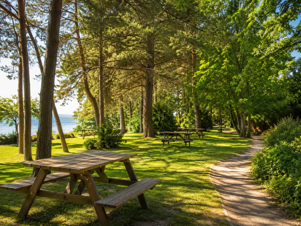 Paşaeli Piknik Alanı