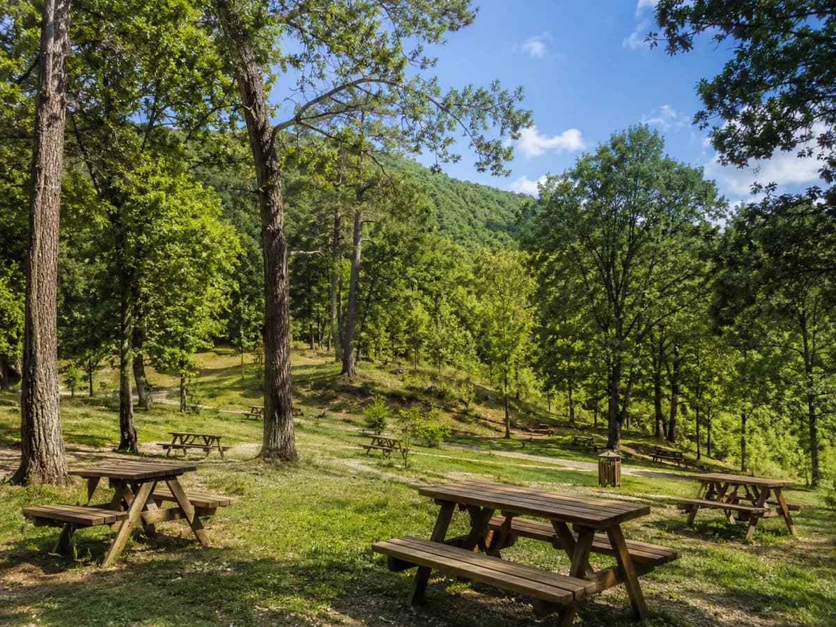 Taşoluk Piknik Alanı