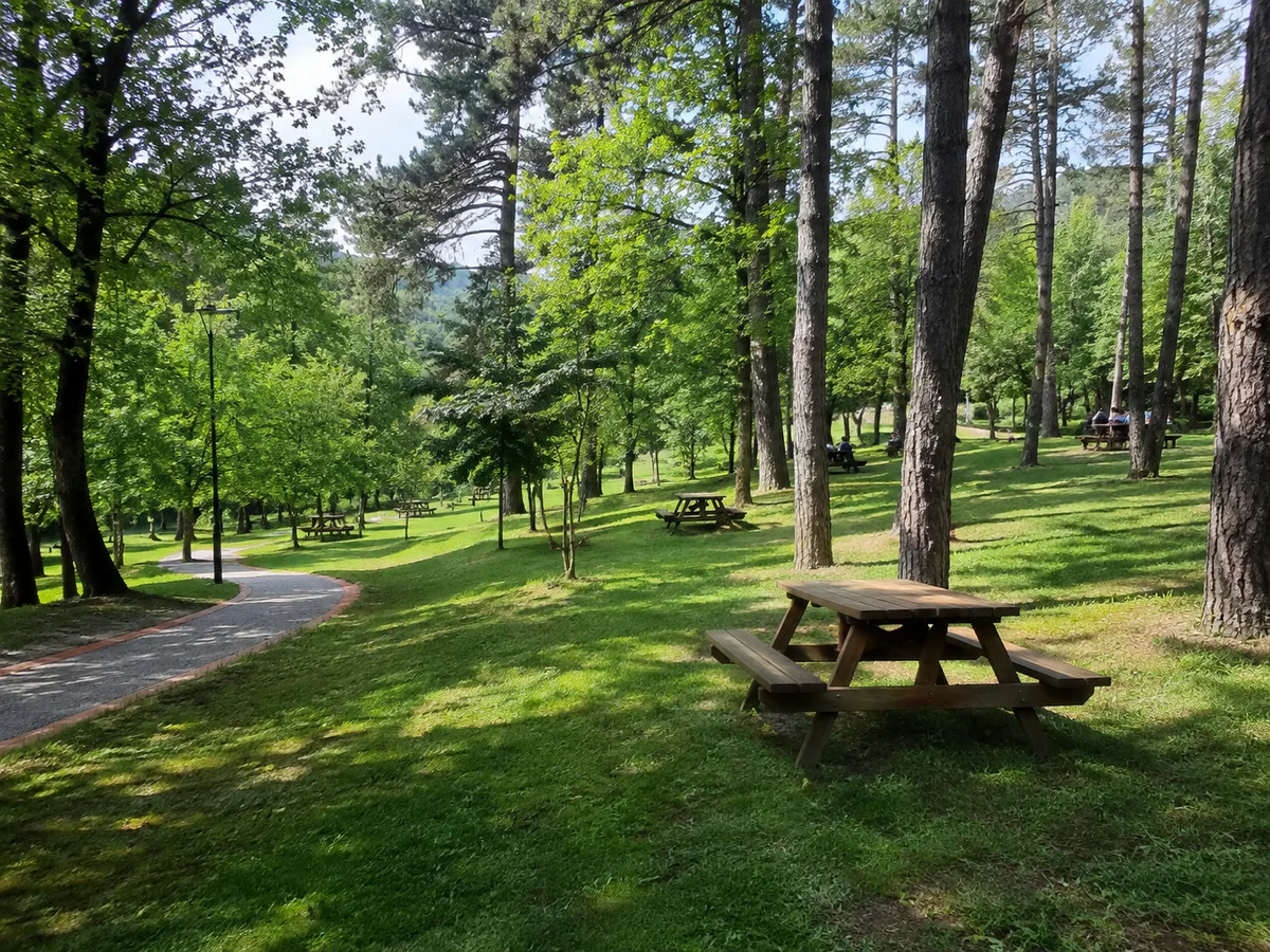 Bolluca Picnic Area, Arnavutköy, Istanbul