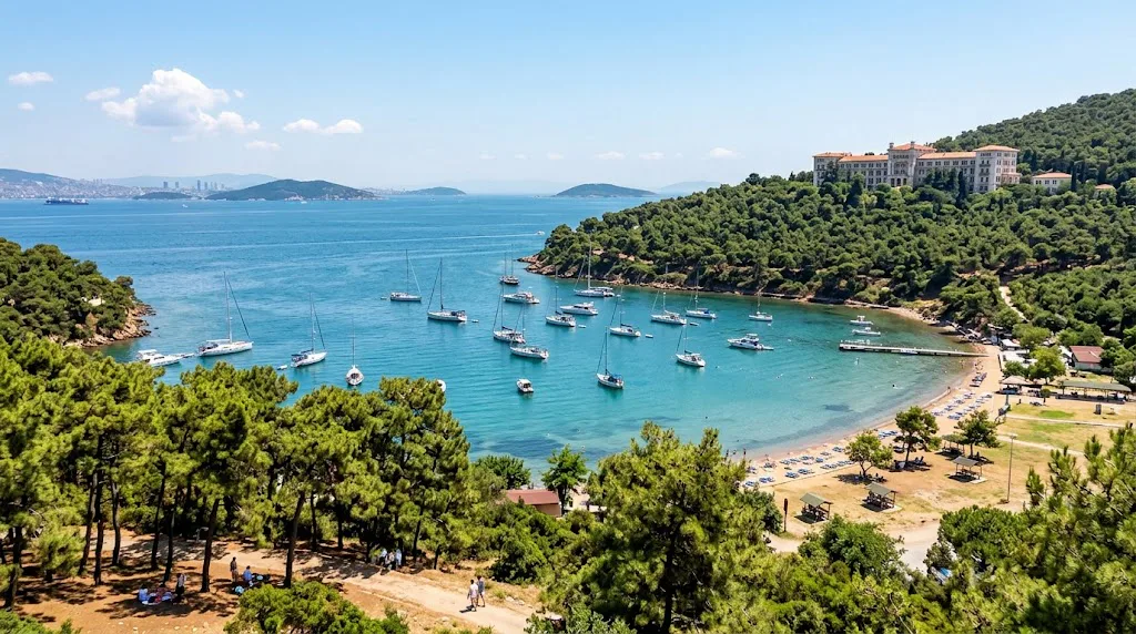Çam Limanı, Adalar, İstanbul