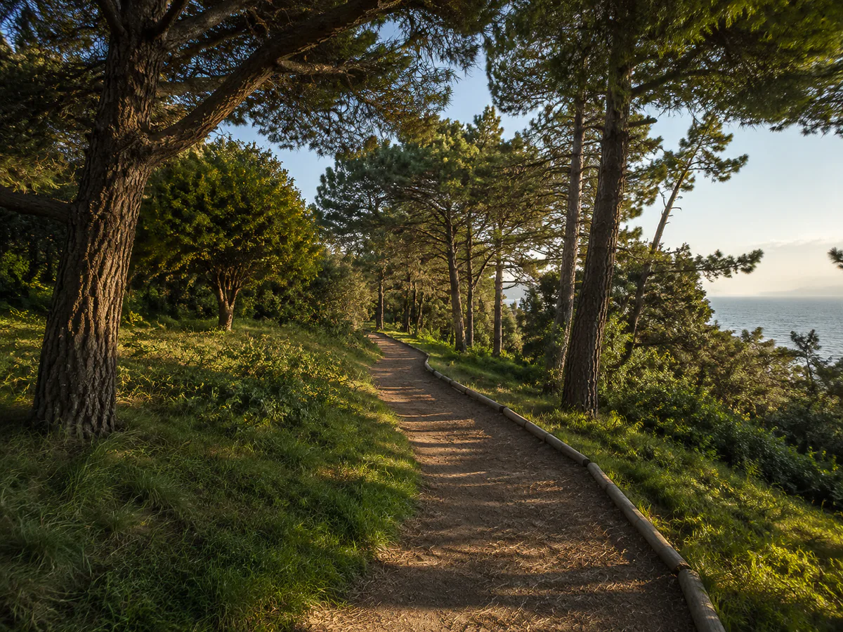 Florya Atatürk Urban Forest, Bakırköy, Istanbul