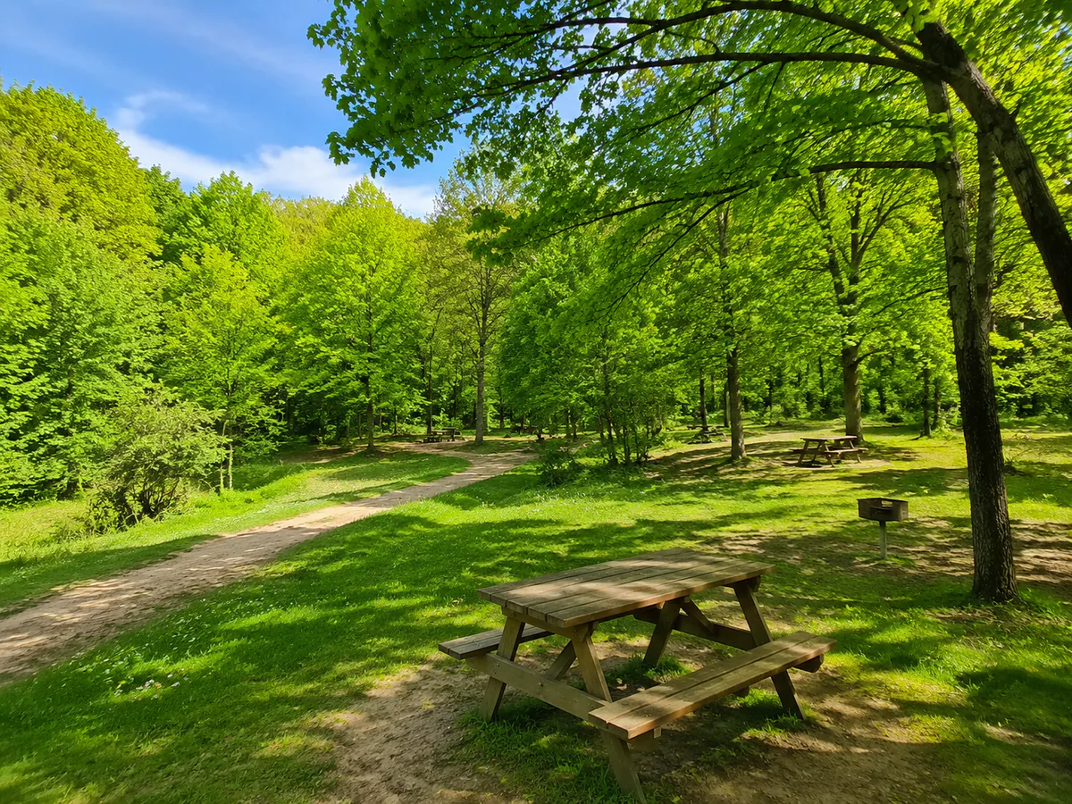 Tayakadın Piknik Alanı, Arnavutköy, İstanbul