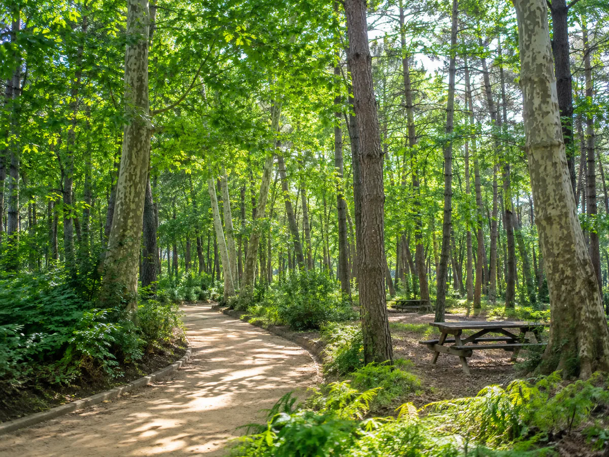 Trabzon Park ve Çırçır Forest, Ümraniye, Istanbul
